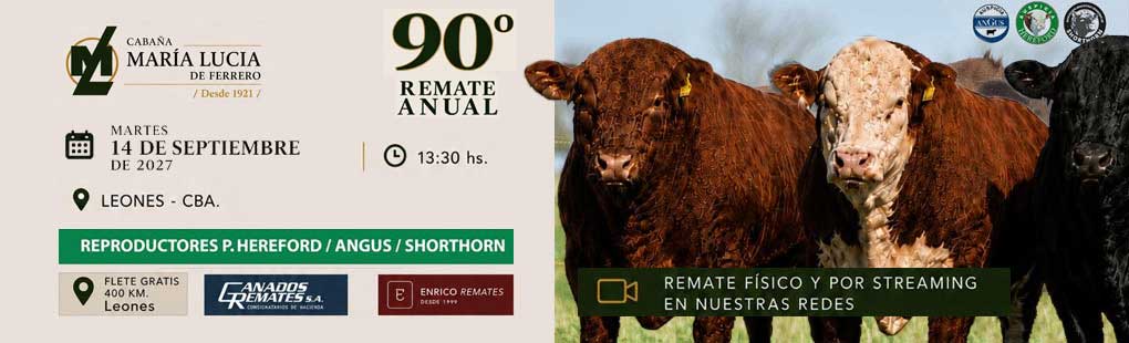 Remate Maria Lucia N 90 - 2027